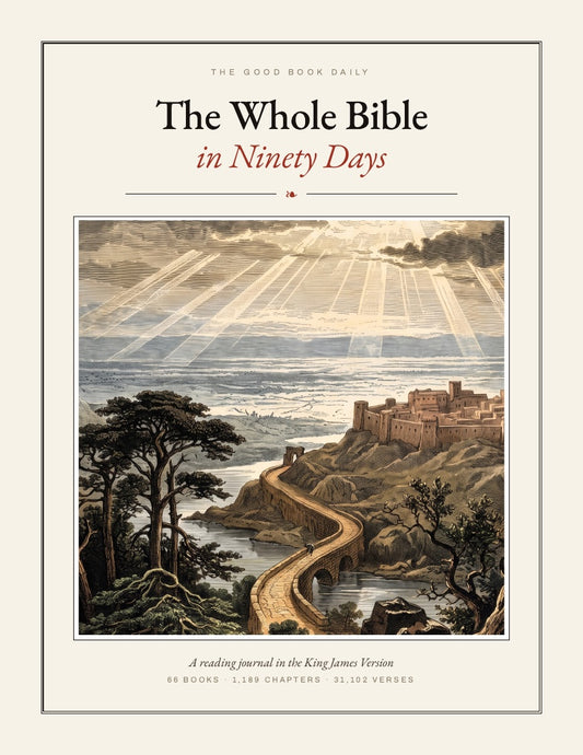 The Whole Bible in Ninety Days — journal cover with an engraved winding road toward a hilltop city